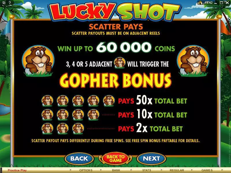 Lucky Shot Slots made by Microgaming - Info and Rules