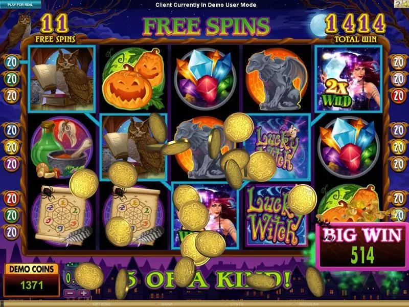 Lucky Witch Slots made by Microgaming - Bonus 1
