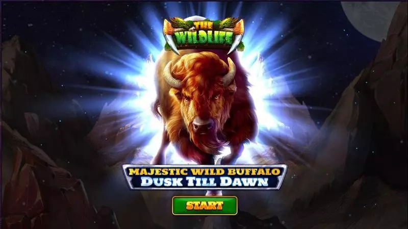 Majestic Wild Buffalo – Dusk Till Dawn Slots made by Spinomenal - Introduction Screen