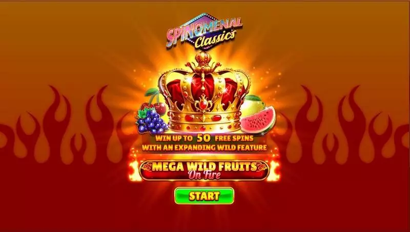 Mega Wild Fruits – On Fire Slots made by Spinomenal - Introduction Screen