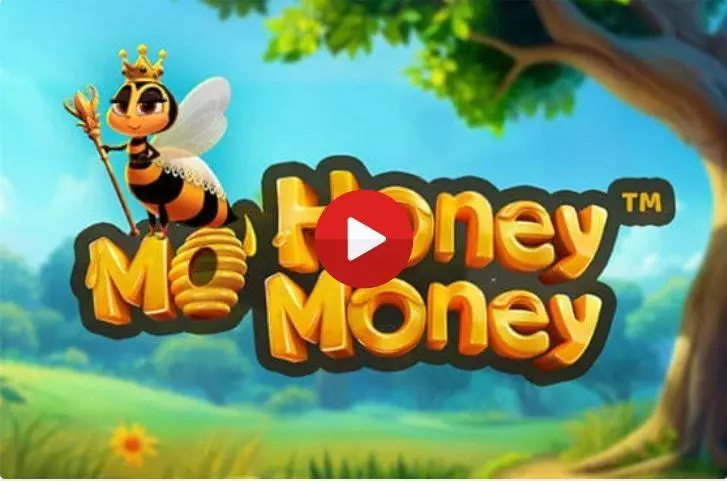 Mo Honey Mo Money Slots made by Dragon Gaming - Introduction Screen