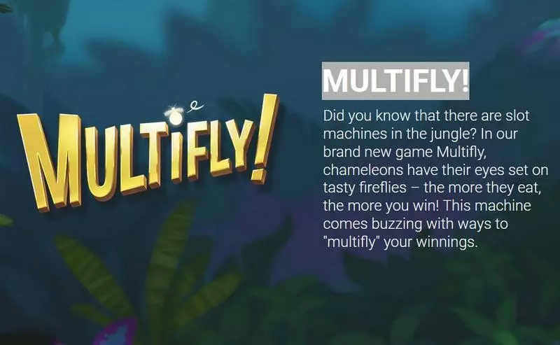 Multifly! Slots made by Yggdrasil - Info and Rules