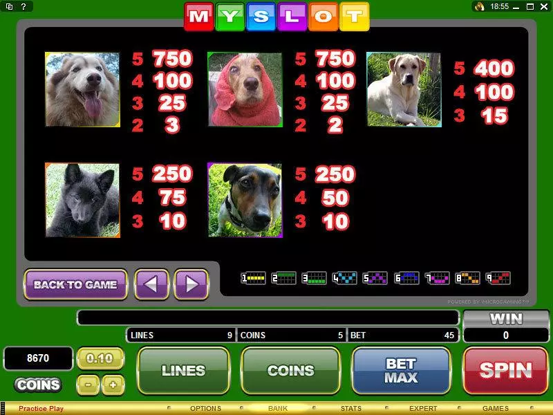 MYSLOT Slots made by Microgaming - Info and Rules