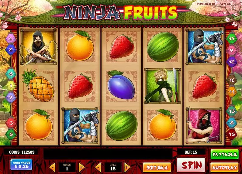 Ninja Fruits Slots made by Play'n GO - Main Screen Reels