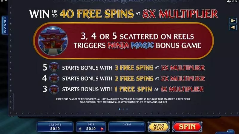 Ninja Magic Slots made by Microgaming - Info and Rules