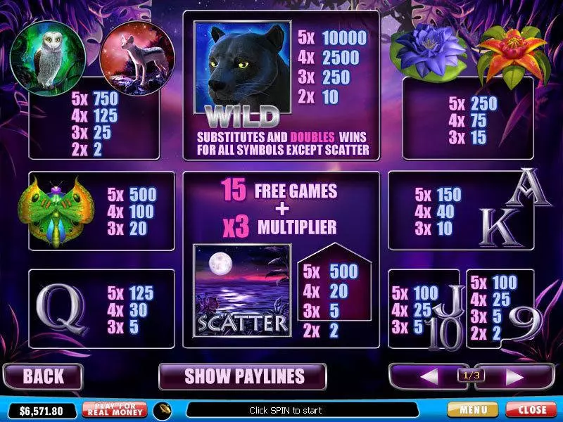 Panther Moon Slots made by PlayTech - Info and Rules