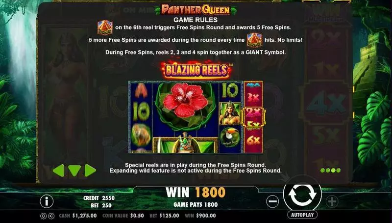 Panther Queen Slots made by PartyGaming - Info and Rules