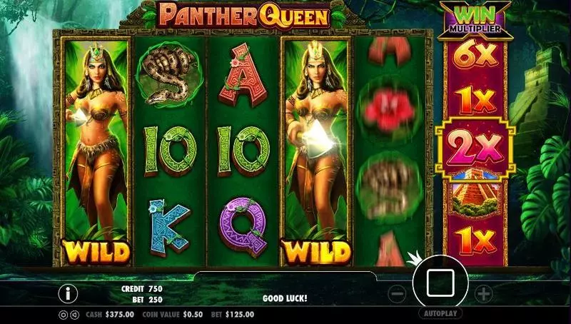 Panther Queen Slots made by PartyGaming - Main Screen Reels