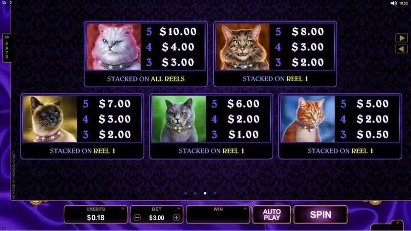 Pretty Kitty Slots made by Microgaming - Info and Rules