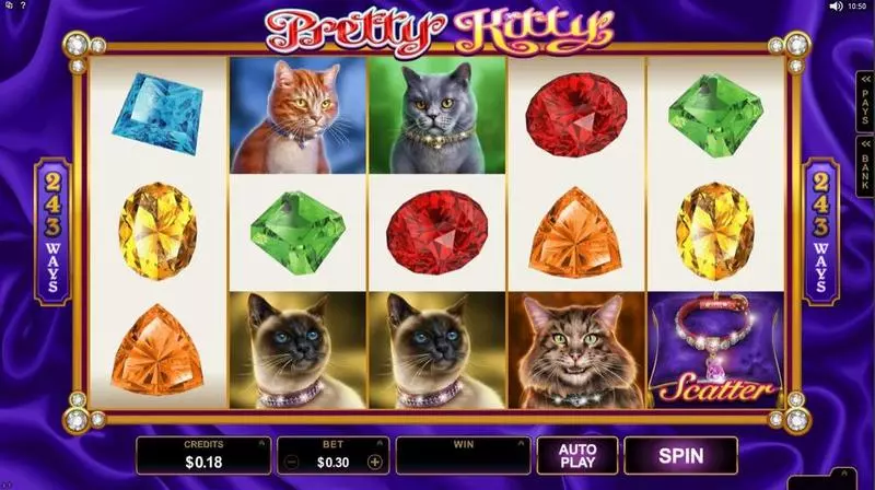 Pretty Kitty Slots made by Microgaming - Introduction Screen