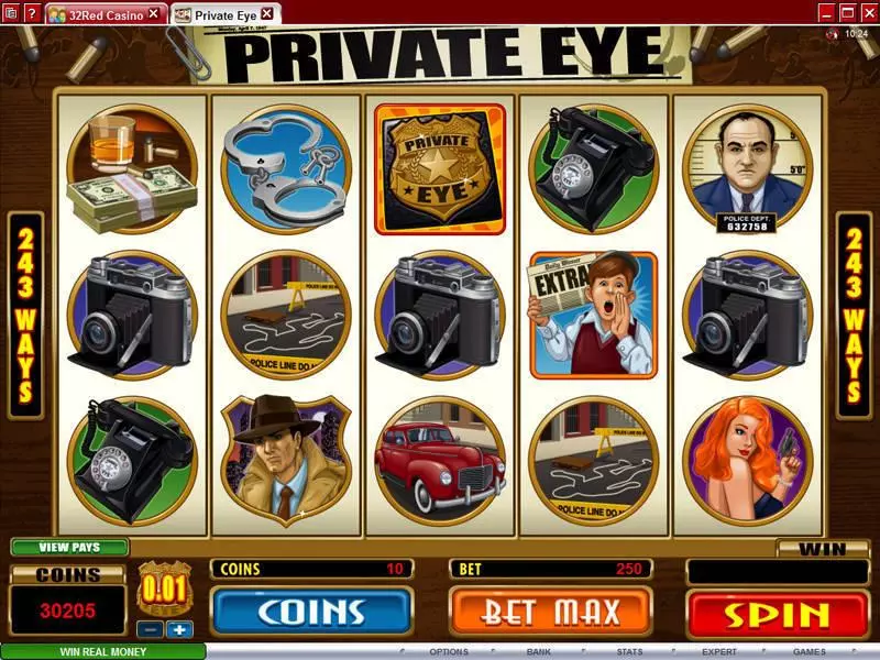 Private Eye Slots made by Microgaming - Main Screen Reels