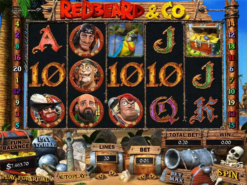 Redbeard and Co Slots made by Topgame - Main Screen Reels
