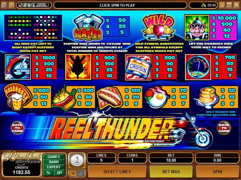 Reel Thunder Slots made by Microgaming - Info and Rules