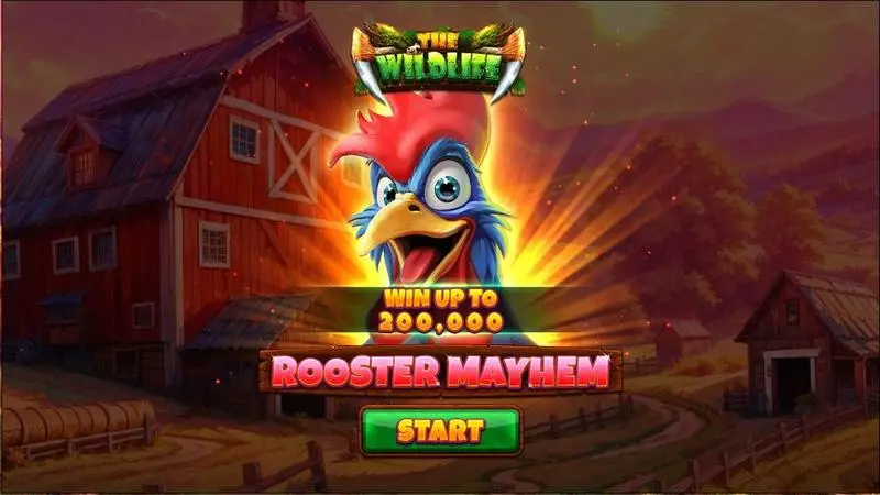 Rooster Mayhem Slots made by Spinomenal - Introduction Screen