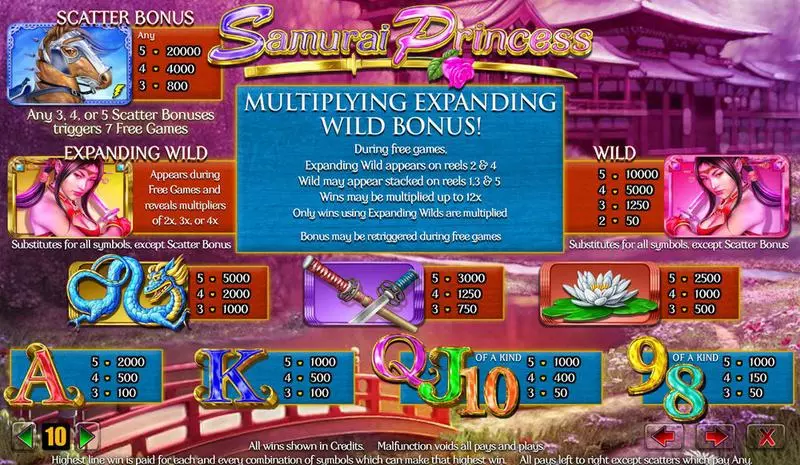 Samurai Princess Slots made by Amaya - Info and Rules