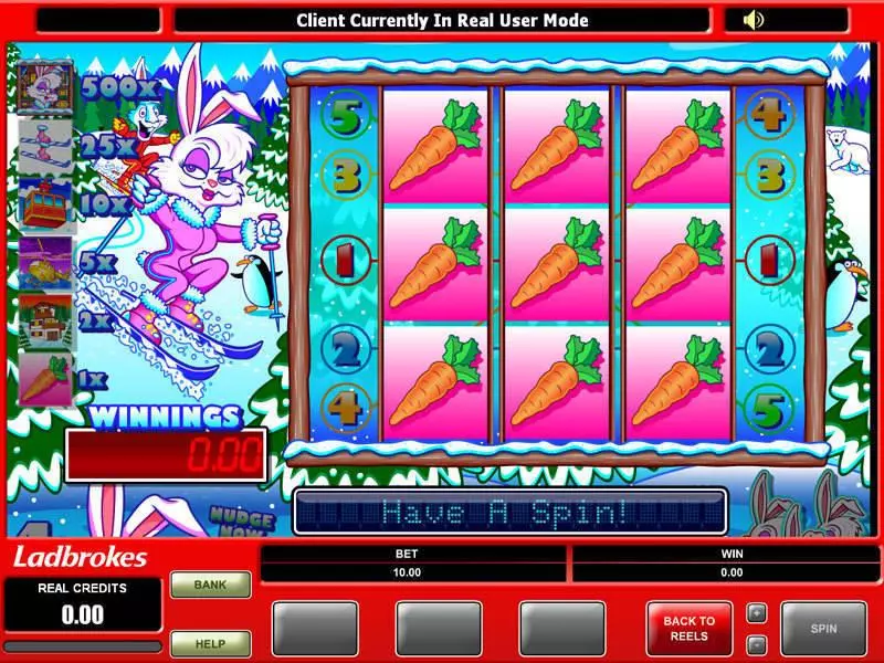Ski Bunny Slots made by Microgaming - Bonus 1