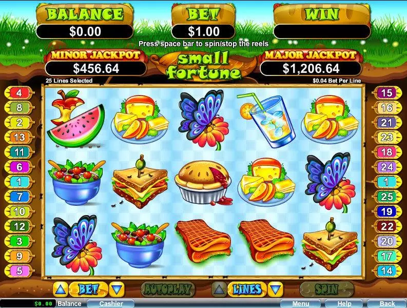 Small Fortune Slots made by RTG - Main Screen Reels