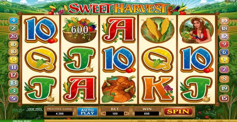 Sweet Harvest Slots made by Microgaming - Bonus 1