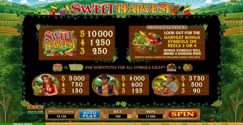 Sweet Harvest Slots made by Microgaming - Info and Rules