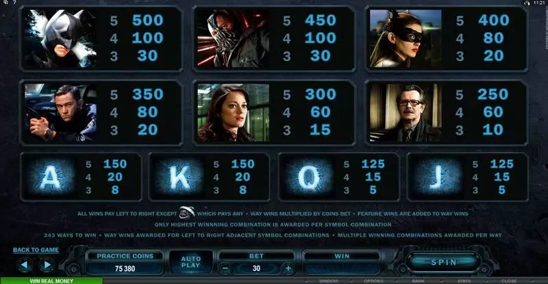 The Dark Knight Rises Slots made by Microgaming - Info and Rules