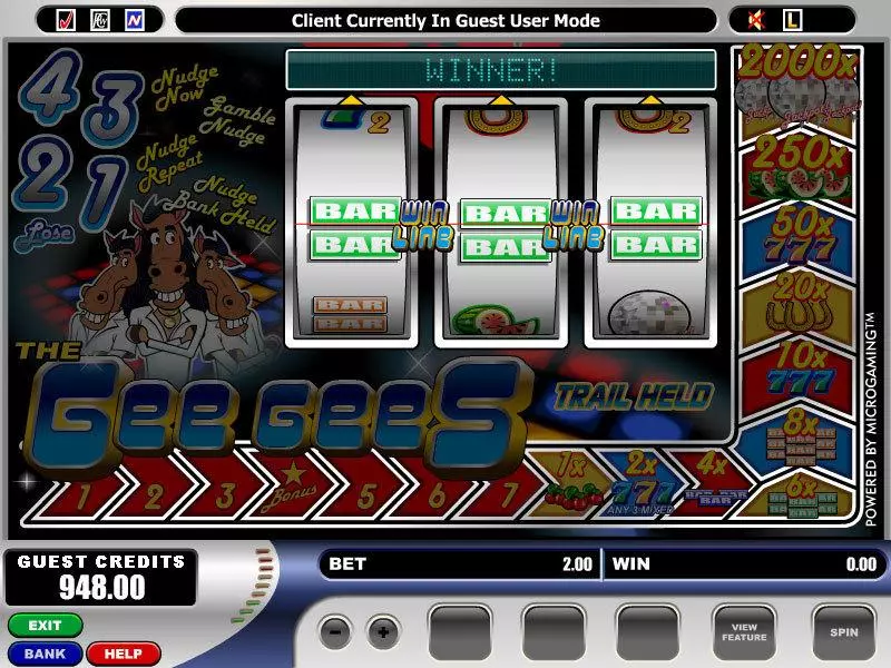 The Gee Gees Slots made by Microgaming - Main Screen Reels