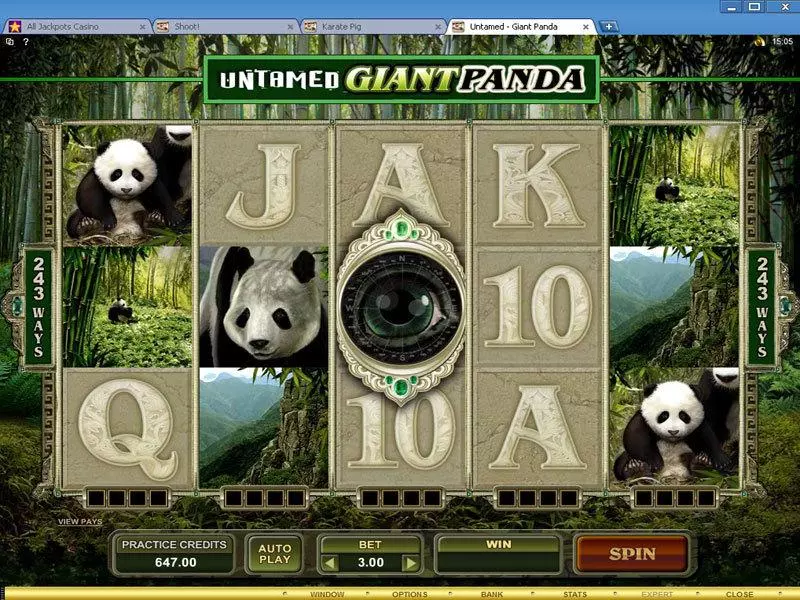 Untamed - Giant Panda Slots made by Microgaming - Main Screen Reels