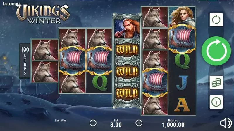 Vikings Winter Slots made by Booongo - Main Screen Reels