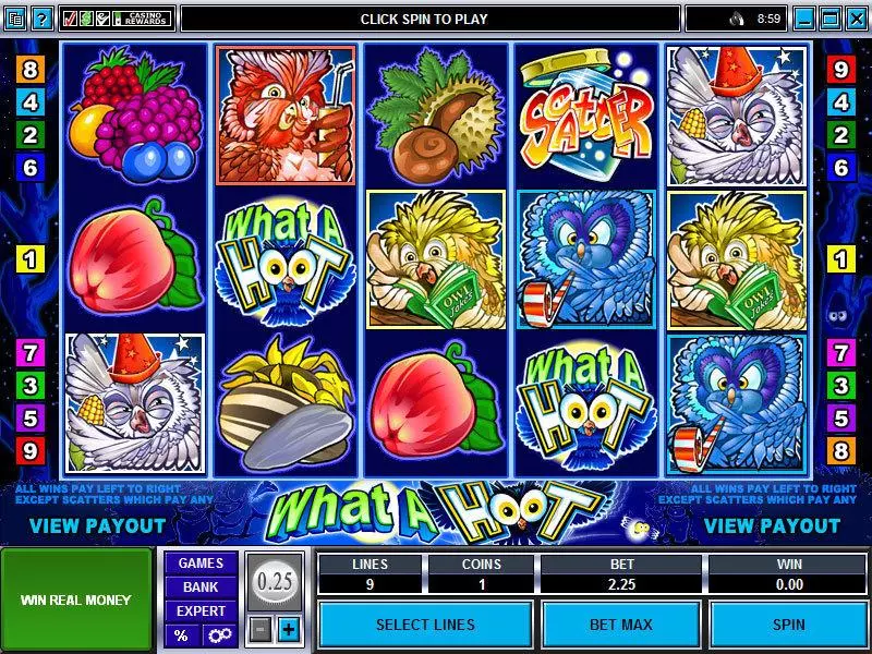 What a Hoot Slots made by Microgaming - Main Screen Reels
