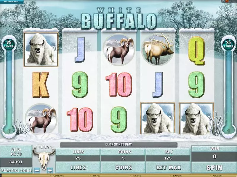 White Buffalo Slots made by Genesis - Main Screen Reels