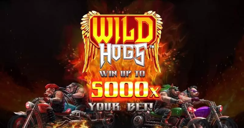 Wild Hogs Slots made by StakeLogic - Introduction Screen