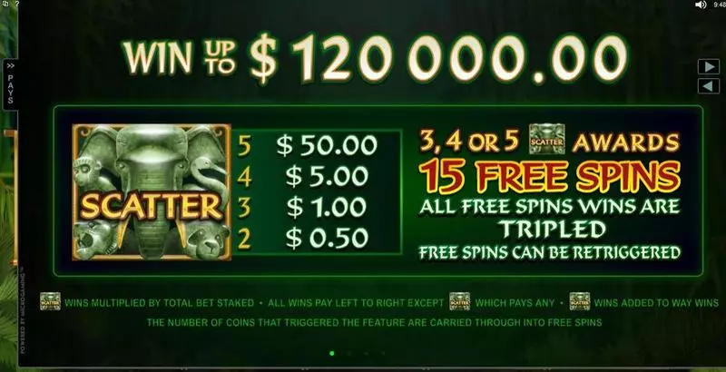 Wild Orient Slots made by Microgaming - Info and Rules