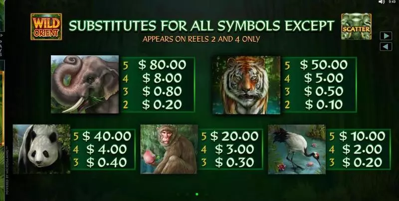 Wild Orient Slots made by Microgaming - Info and Rules