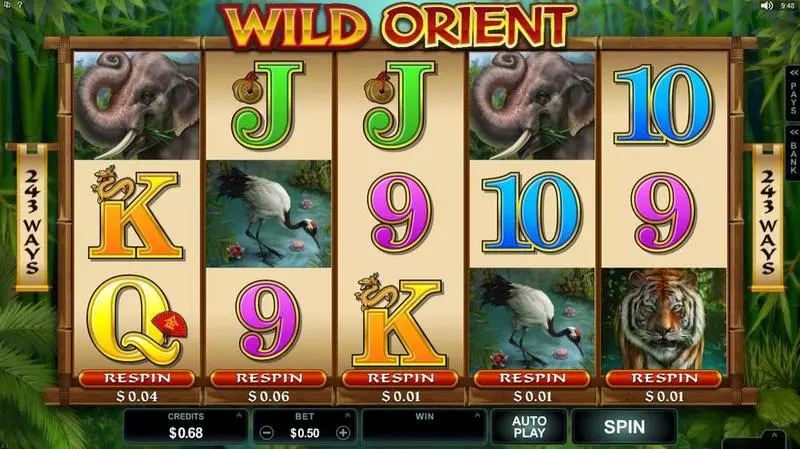 Wild Orient Slots made by Microgaming - Introduction Screen