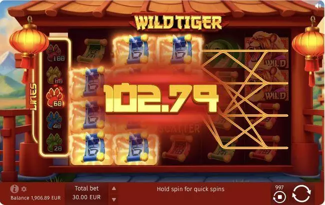 Wild Tiger Slots made by BGaming - Winning Screenshot