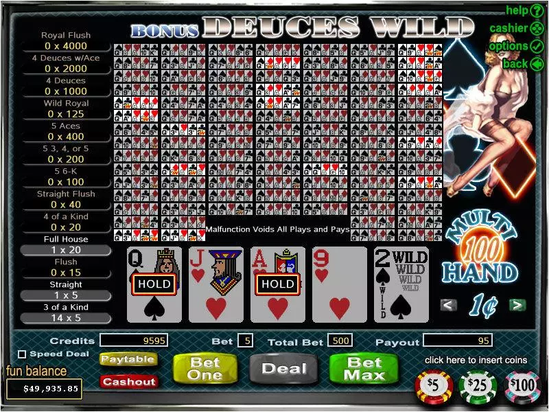 Bonus Deuces Wild 100 Hand Poker made by RTG - Introduction Screen